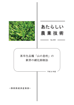 「山の息吹」の新芽の硬化抑制法（平成22年度）（PDF：343KB）