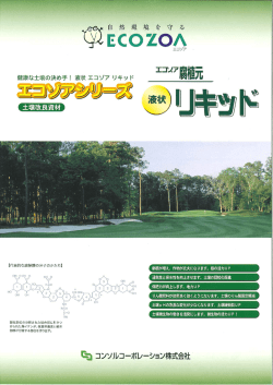 EC。Z。A - コンソルコーポレーション
