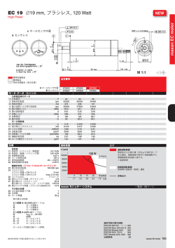 EC 19 &empty;19 mm, ブラシレス, 120 Watt