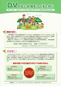 DV - 豊田市