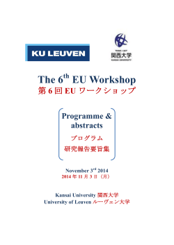 The 6 EU Workshop
