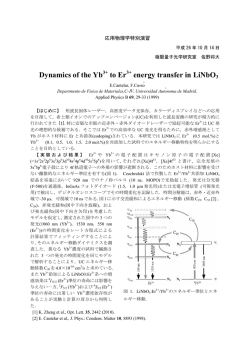 Dynamics of the Yb to Er energy transfer in LiNbO3