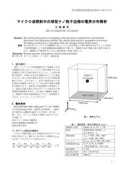 マイクロ波照射中の球型ナノ粒子近傍の電界分布解析
