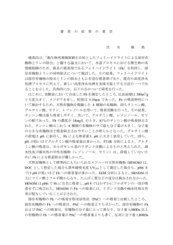 要旨を表示する