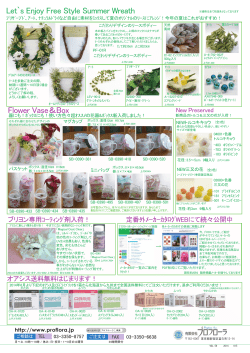 Let`s En㼖oy Free Style Summer Wreath Flower Vase＆Box