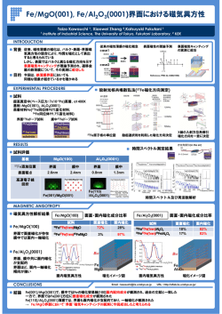 Fe超薄膜の磁気キャンティング