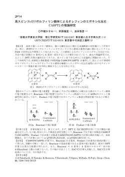 2P14 高スピン Fe(IV)ポルフィリン錯体によるオレフィンのエポキシ化反応