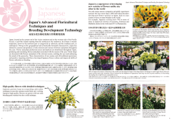 Japan is a superp。wer 。f deveー。ping new Varieties 。f n。Wers un