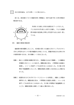 次の文章を読み, 以下の問ー~5に答えなさい。 図ーは, 両生類のイモリ の