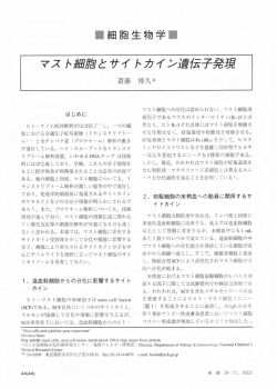 マスト細胞とサイトカイン遺伝子発現