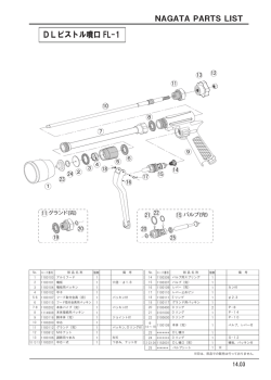 DLピストル噴口 FL-1