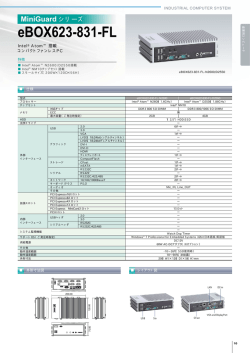 eBOX623-831-FL MiniGuard