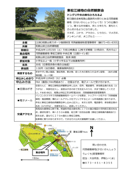 東松江緑地の自然観察会 - 和歌山県立自然博物館