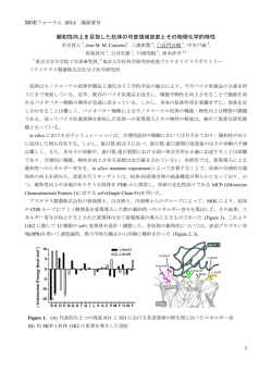 要旨(PDF)