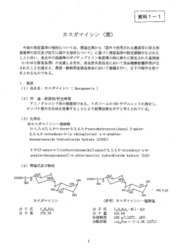 （案）（PDF：805KB）