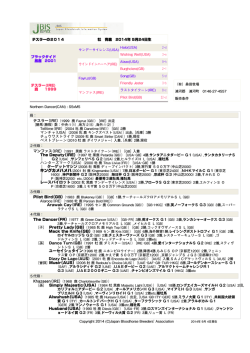 ブラックタイプのPDFファイル