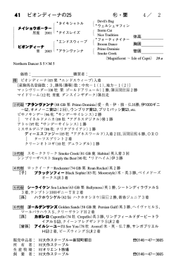 詳細情報（PDF）