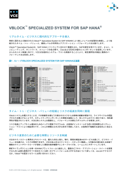 Vblock™ Specialized Systems for SAP HANA®のデータ シート
