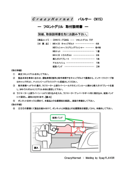 CrazyHornet パルサー （N15）