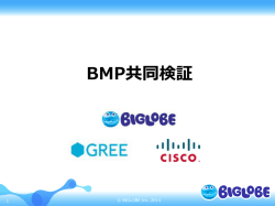 BMP共同検証