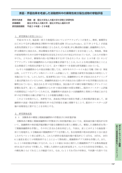 表面・界面効果を考慮した溶融燃料中の揮発性核分裂生成物の挙動評価
