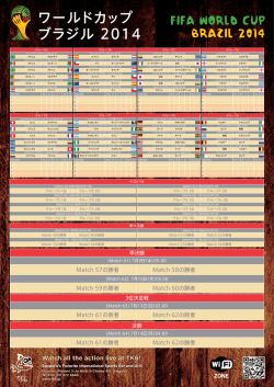 FIFA WORLD CUP BRAZIL 2014