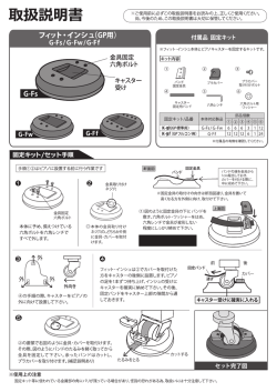フィッ ト ・ インシュ(GP用)