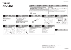 GP-1070 - Toshiba FYI Portal
