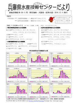 漁海況情報 GK-26-11 号（明石海峡・大阪湾・紀伊水道）2014.12.11 発行