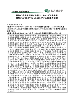 植物ホルモンジベレリンのシグナル伝達の制御