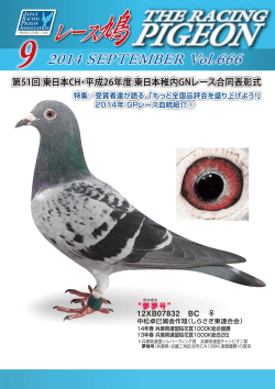 Adobe Photoshop PDF