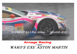 Arnage Racing 2014 SUPER: GT Race report