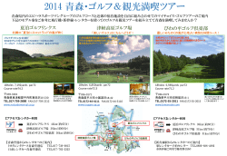 PowerPoint プレゼンテーション