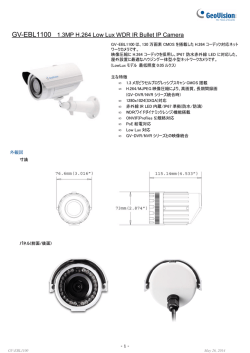GV-EBL1100 - GeoVision