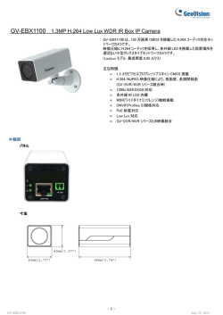 GV-EBX1100 - GeoVision