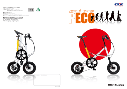 ec。ー。gy pers。naー