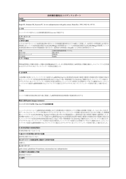 詳細を見る（PDF）