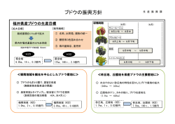ブドウの拡大目標