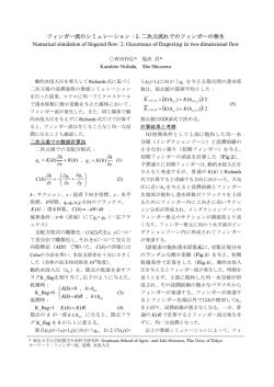 フィンガー流のシミュレーション：2.二次元流れでのフィンガー
