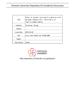 Effect of ascorbic acid and X-irradiation on HL