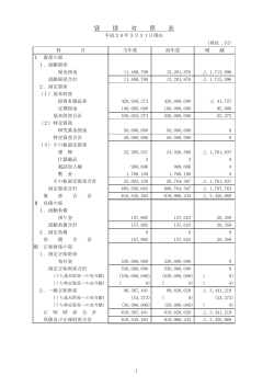 平成25年度 貸借対照表（PDF 29KB）
