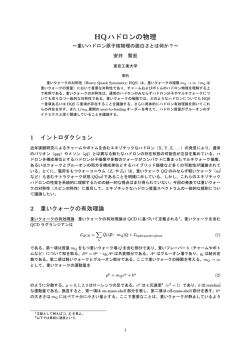 HQハドロンの物理 - KEK理論センター・J