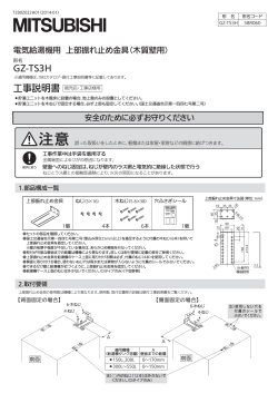 GZ-TS3H