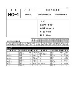 HO-1 HONDA