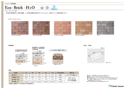 Eco Brick HO 2.