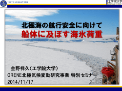 船体に及ぼす海氷荷重