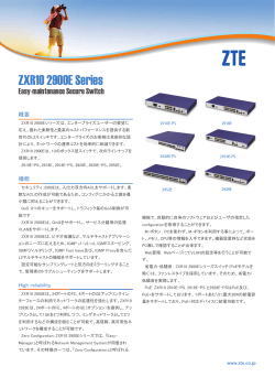 ZXR10 2900E シリーズ カタログ