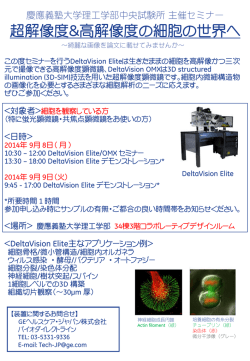 プログラム詳細（PDF）