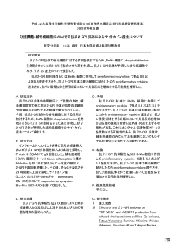 分担 : 毛癌細胞(Beo)での抗2GPI 抗体によるサイト*イン産生について