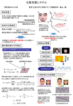 化粧支援システム
